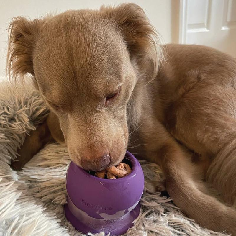 ChewVault™ Fillable Dog Chew Bone